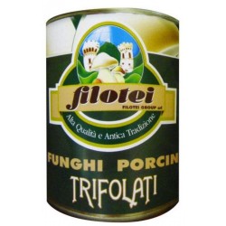 Filotei Group Porcini Mushrooms Trifolati in tin 800 g
